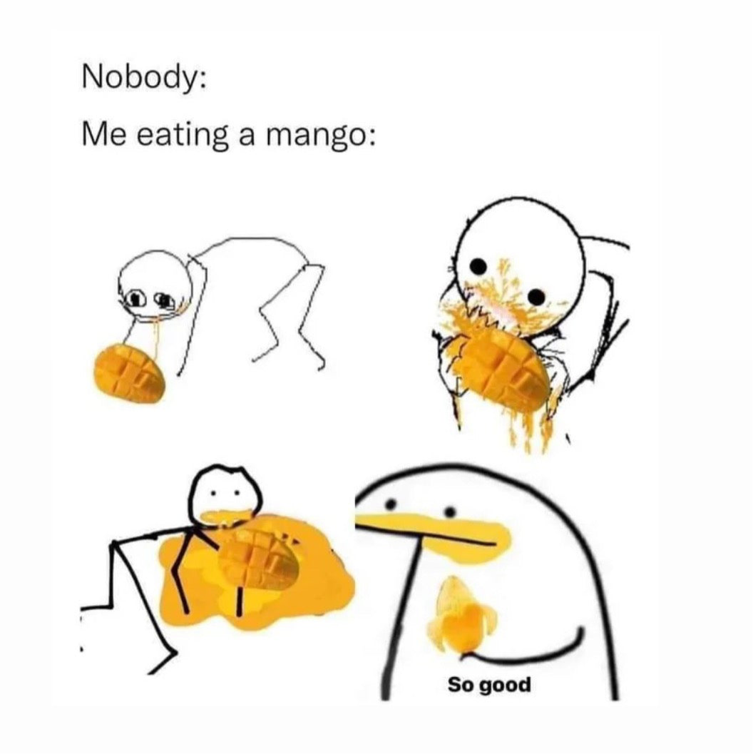 PRE-ORDER - Mango Fever
